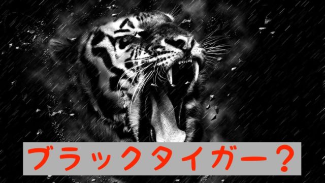 ブラックタイガーのイメージ